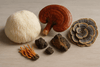 Everyone Should Know These 5 Functional Mushrooms Are Better Than The Other 3 Million
