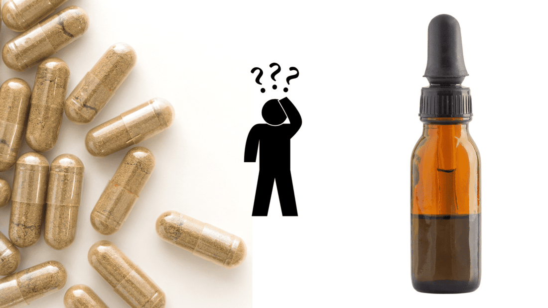 Lion's Mane Capsules Vs Tincture: What Is The Best Form Of Lion's Mane For You?