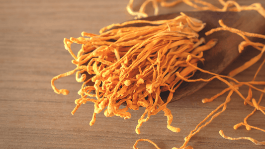 Cordycepin and Obesity: Can This Mushroom Compound Help You Burn Fat and Reprogram Metabolism?