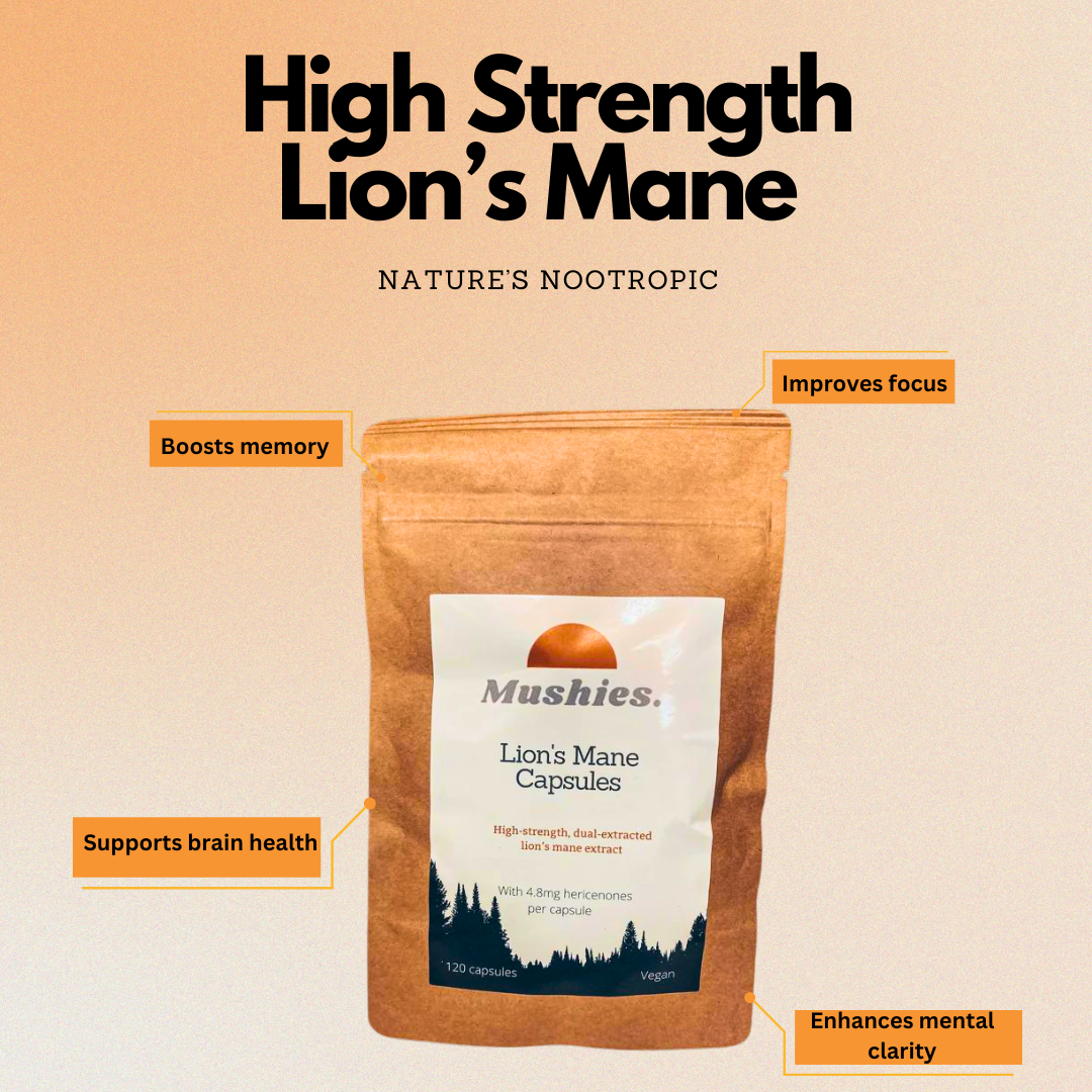 Lion's Mane Capsules (High Strength) - Cognitive Enhancer
