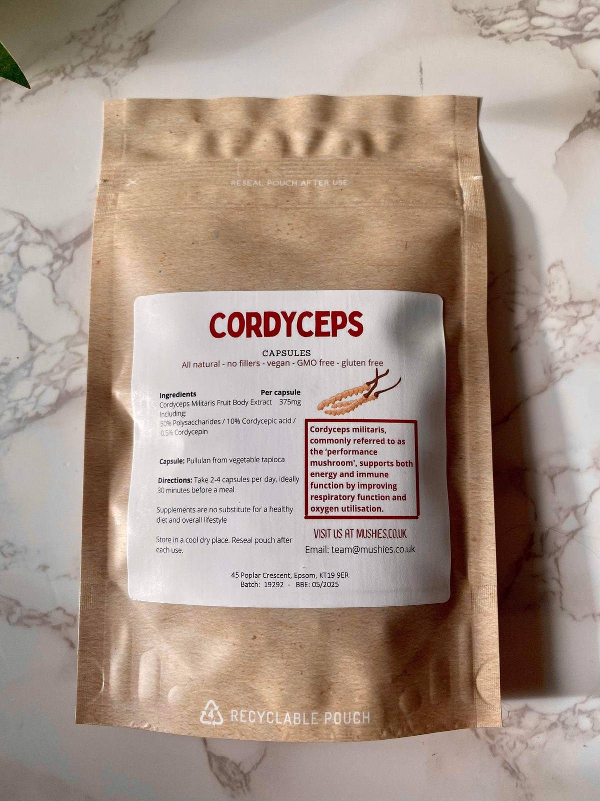 Cordyceps Extract Capsules (0.5% Cordycepin) - For PERFORMANCE & ENERGY