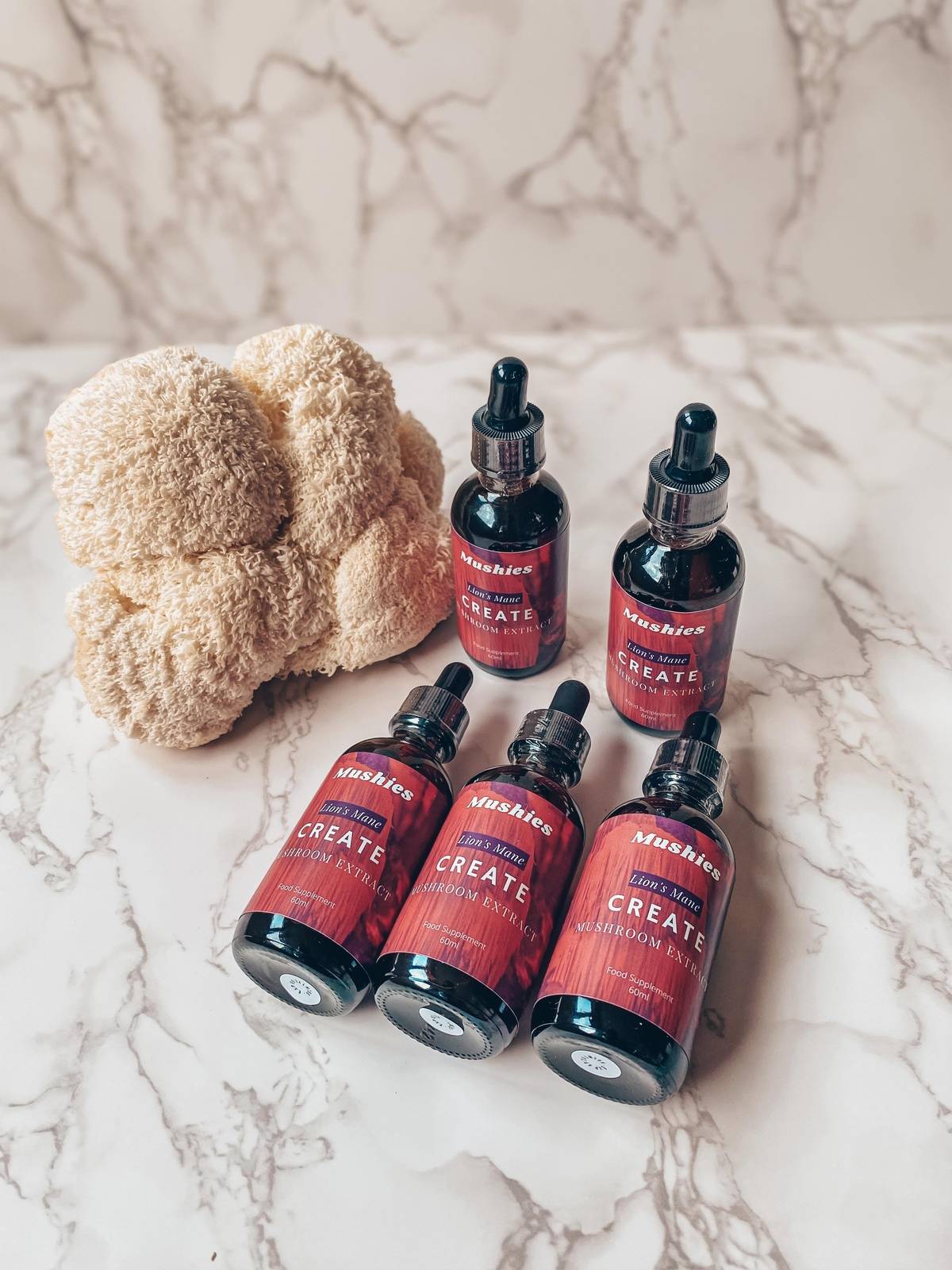 Lion's Mane Extract Tincture - CREATE