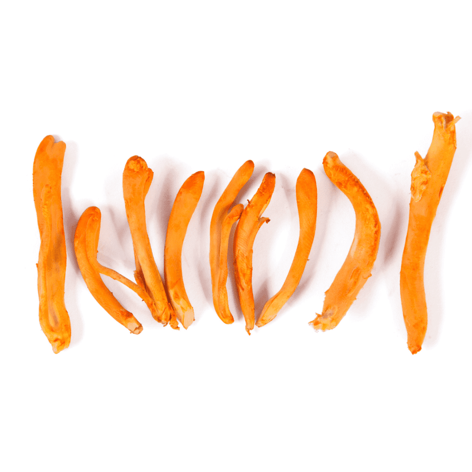 Best Cordyceps Supplements In The UK