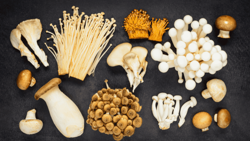 7 Best Mushrooms For The Immune System