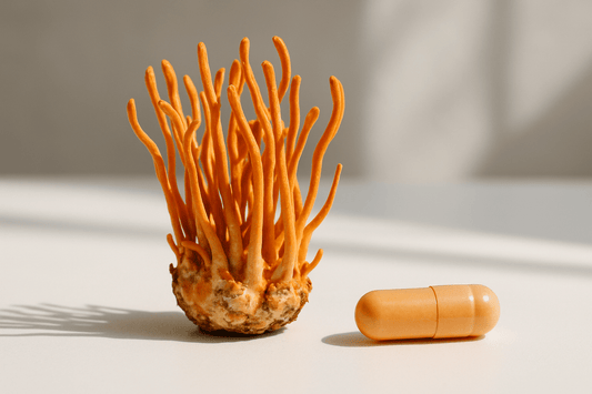 Science Shows Cordyceps Enhances Energy, Supports Healthy Immune And Metabolic Function, And Promotes Cellular Repair And Balance
