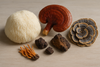 The 5 Function Mushrooms At The Heart Of the Mushroom Revolution