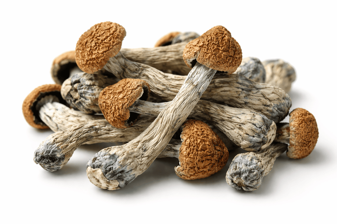 New Study Suggests That A Moderate 10mg Dose Of Psilocybin Reduces OCD Symptoms