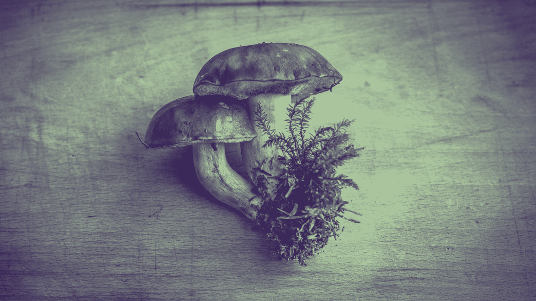 3 New Studies Show Why You Need To Be Eating More Mushrooms