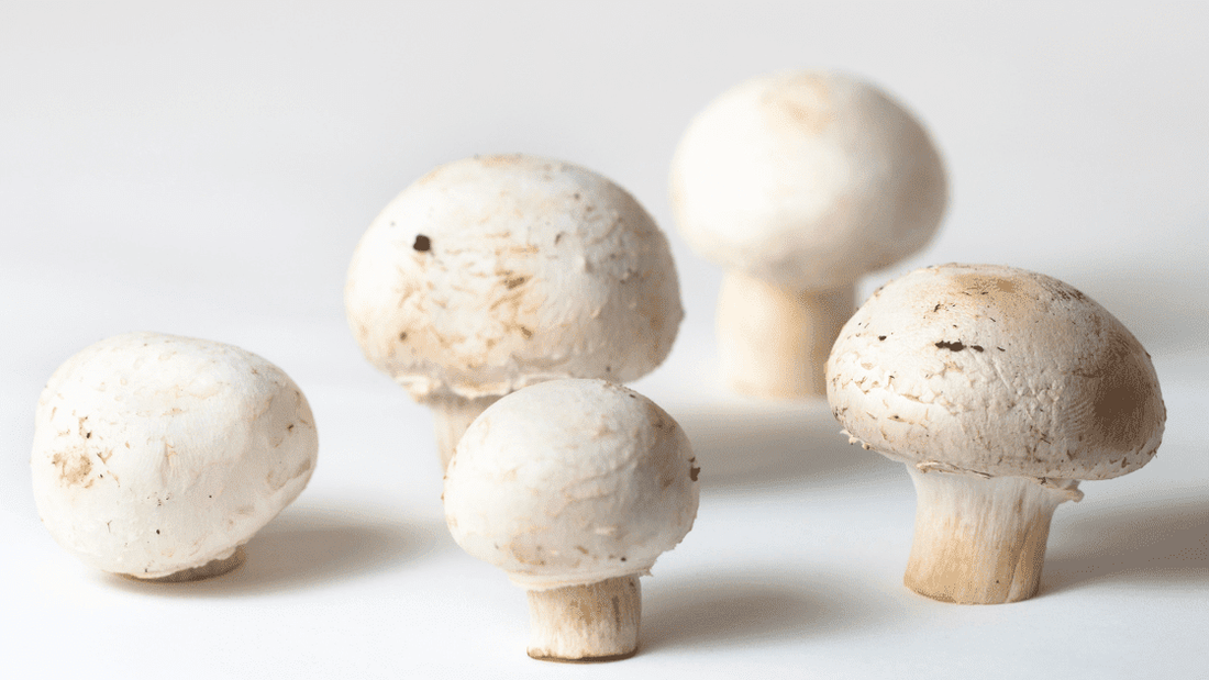 White Button Mushrooms and Prostate Cancer: What You Need to Know