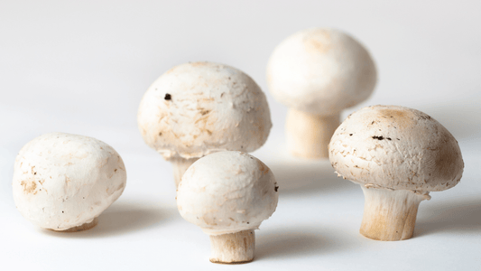 White Button Mushrooms and Prostate Cancer: What You Need to Know