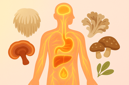 The Metabolic Health Benefits of Functional Mushrooms