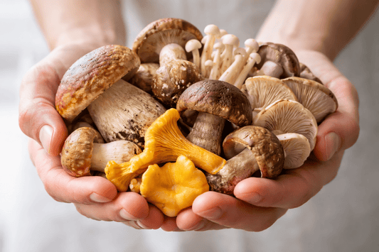 Research Suggests That Ergothioneine From Mushrooms Could Protect Your Brain From Alzheimer's By Boosting NAD+