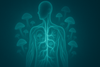 Are Magic Mushrooms The Secret To Longevity?