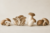 The Latest Research On Ergothioneine: The Longevity Compound Your Body Was Built to Collect