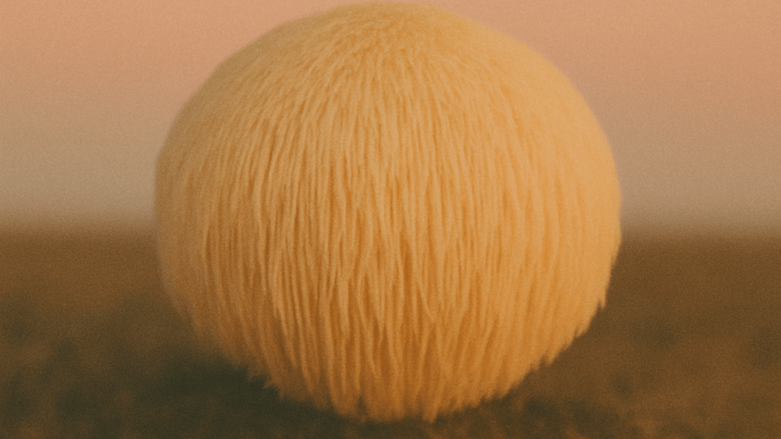 Why Lion’s Mane? 5 Non-Obvious Benefits of the “Brain Mushroom”