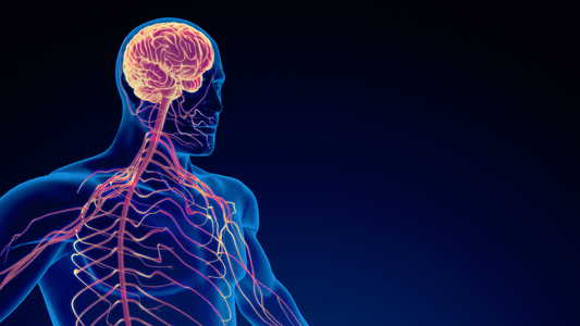 Is PTSD a Physical Injury, Not a Mental Disorder?