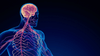 Is PTSD a Physical Injury, Not a Mental Disorder?