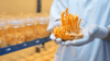 Can Cordyceps Help Clean Up the Brain?