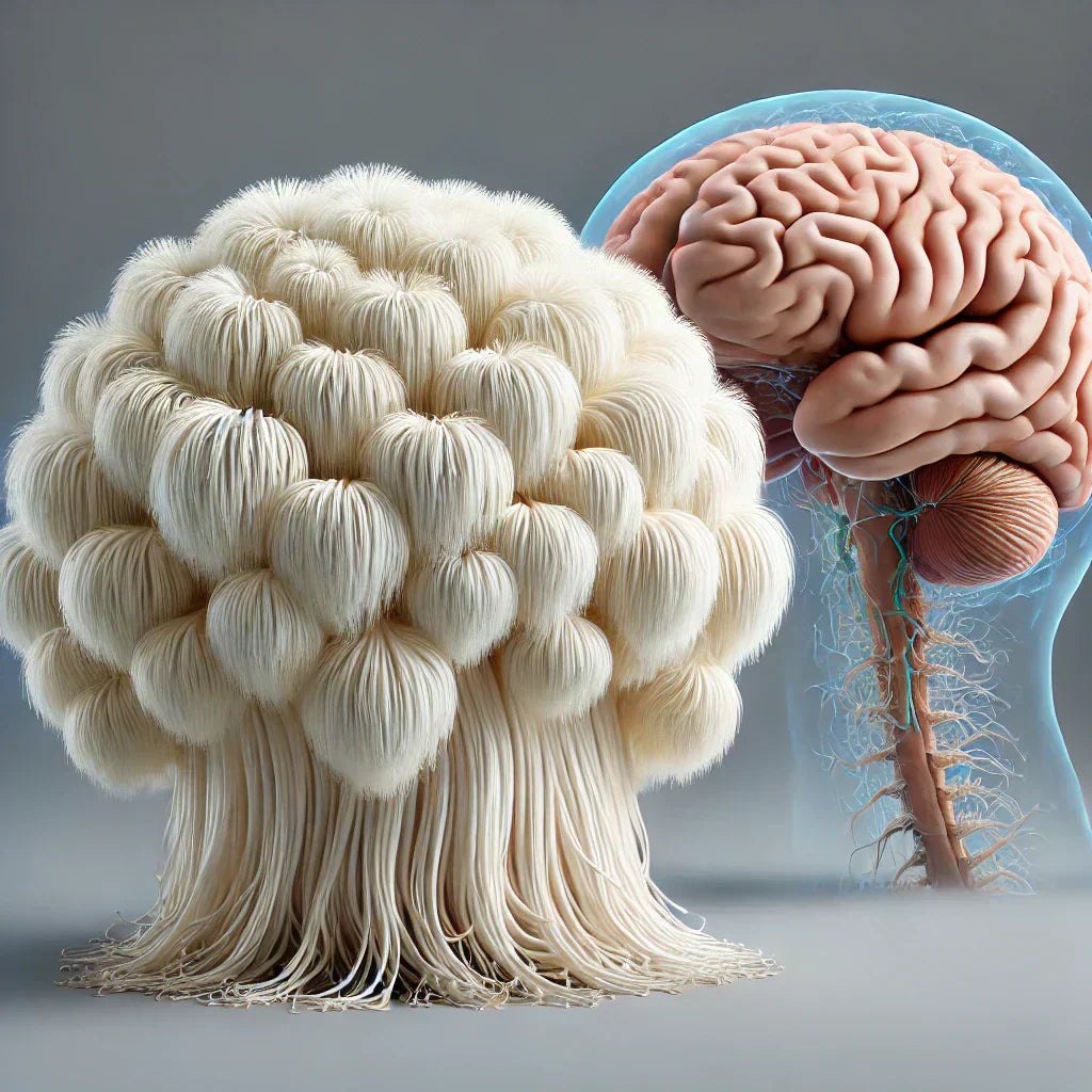 The Science Behind Lion’s Mane's Transformational Health Benefits