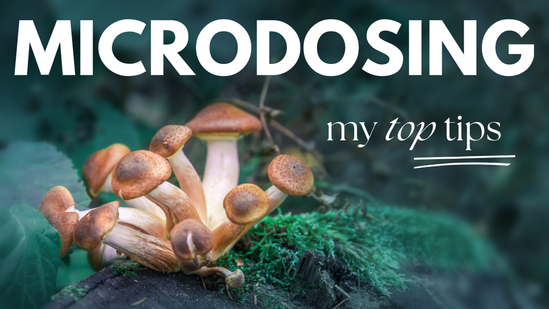 5 Years Of Microdosing Mushrooms: My Top Tips