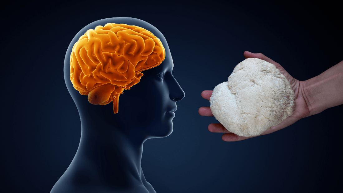 Can Mushrooms Shield Your Brain from Hidden Viral Dangers?