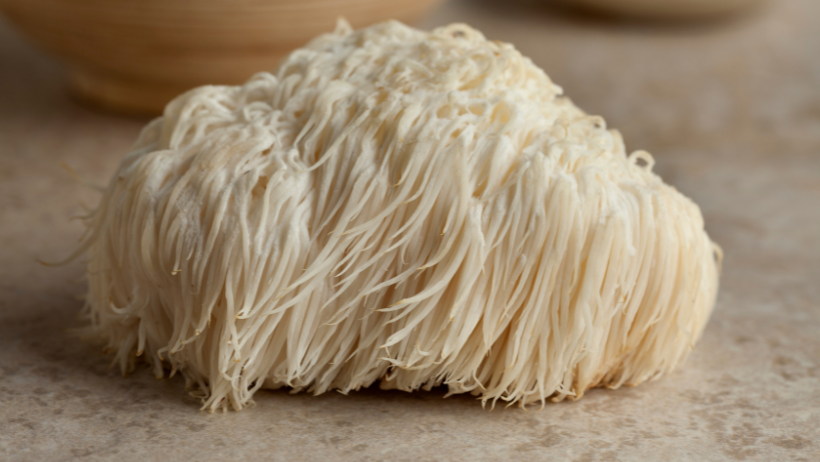 New Study Sheds Light On The Brain-Boosting Benefits Of Lion's Mane Mushrooms