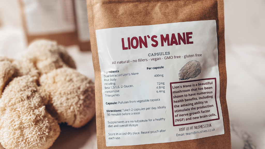 10 Best Lion’s Mane Supplements (2023)