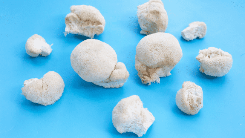 Lion's Mane Mushroom Side Effects: Risks, Precautions, and Benefits