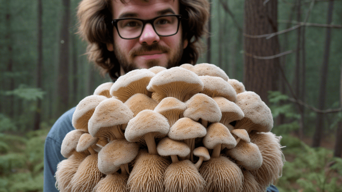 Can Lion’s Mane Mushroom Make You Smarter?