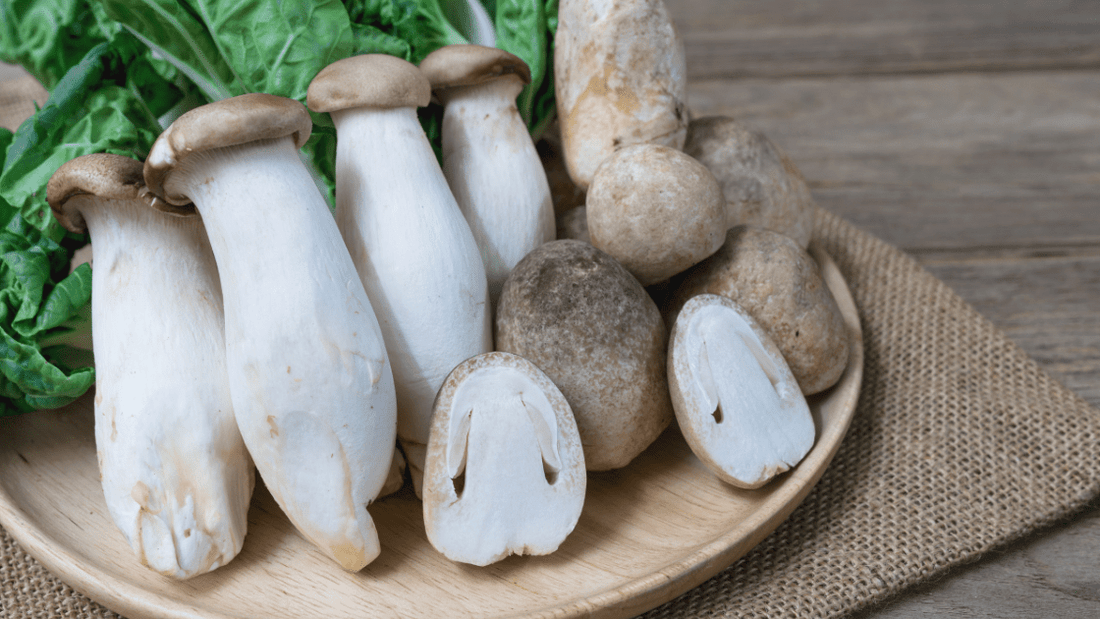 The Surprising Health Benefits of Edible Mushrooms: From Cancer Prevention to Longevity