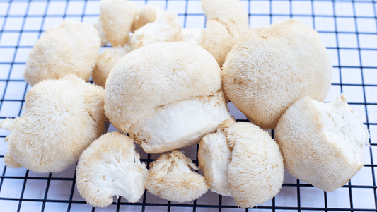 How To Get The Most Out Of Taking Lion’s Mane Mushroom