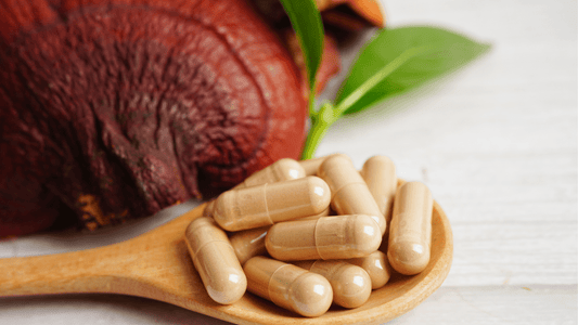 Is Reishi Mushroom A Nootropic?