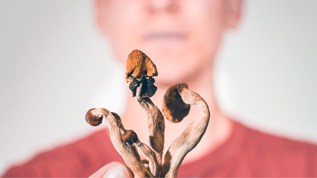 Psychedelics For Chronic Pain: What The Science Says