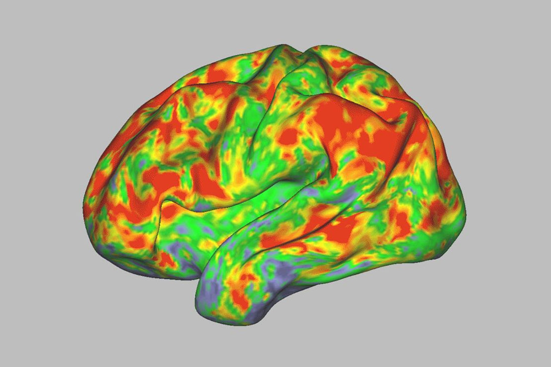 This Is Your Brain On Shrooms: How Psilocybin Dissolves The Sense Of Self