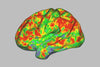 This Is Your Brain On Shrooms: How Psilocybin Dissolves The Sense Of Self