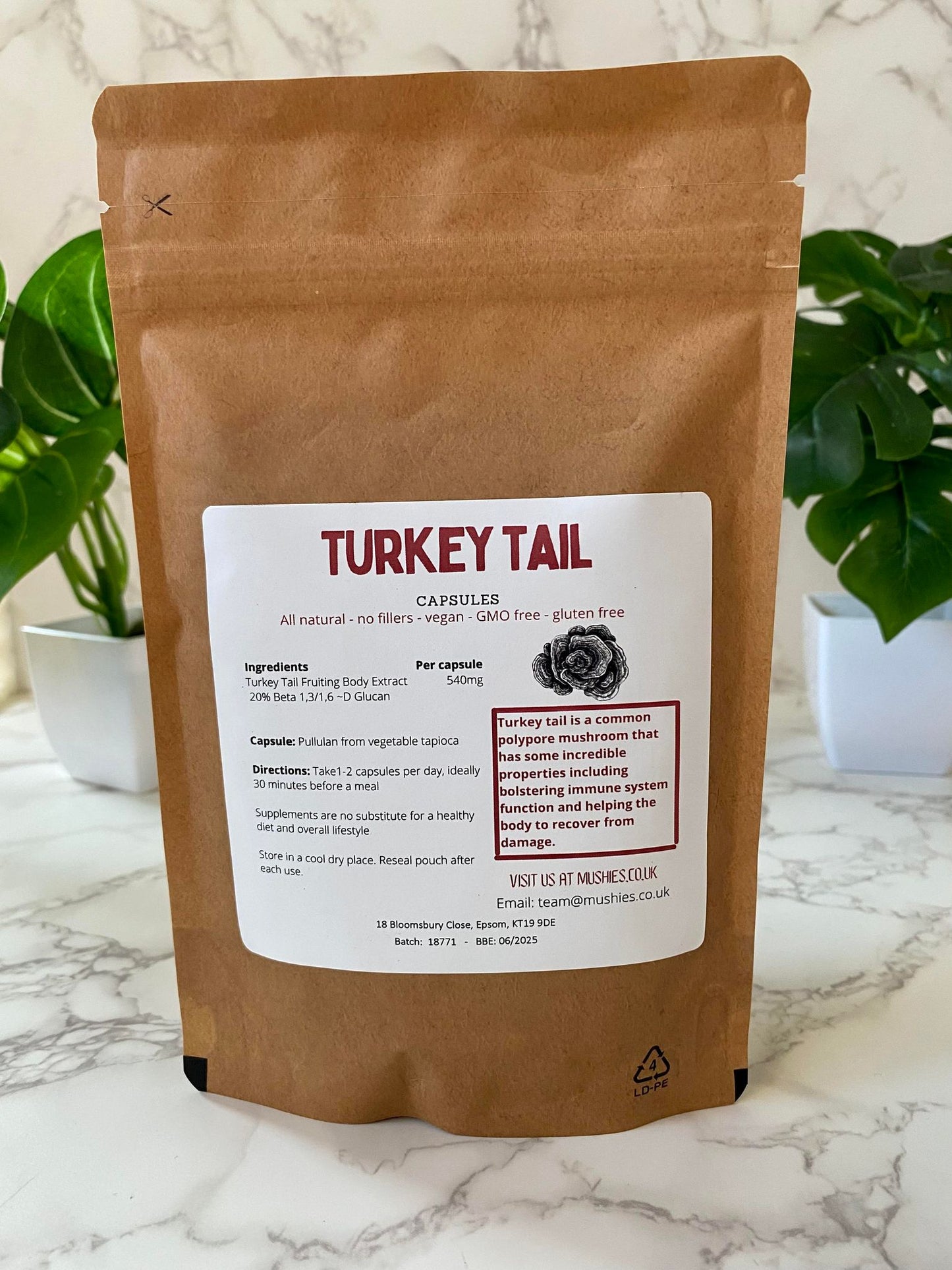 Turkey Tail Capsules (High Strength)